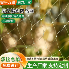 防鸟网养殖5米宽尼龙单丝黑色蔬菜大棚猕猴桃苹果树果园驱鸟网