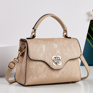 2026�¿ɫ�͹������ͨ�����e�r�Іμ���ٴ�б����羳bags