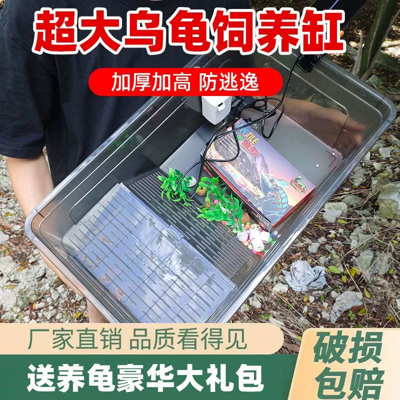 Черепаховый цилиндр с крышкой очень большой с дренажной черепахой