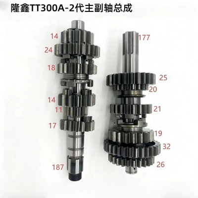 Motorcycle engine and accessories Tt300A2 Generation Main and Secondary