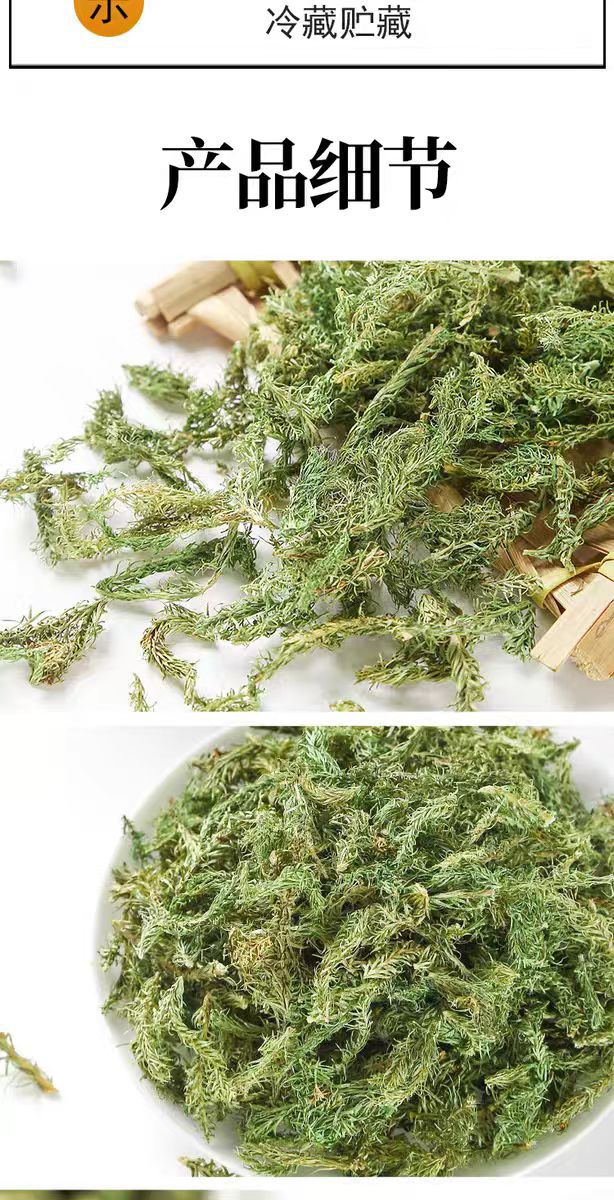 Shen Jin Cao (Lycopodium clavatum) — Dried Clubmoss Herb for Foot Soaks & Herbal Wine in use