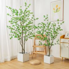 �پGֲ����[�����Rֲ�������҃ȿ͏d�b�����ؘ��辰