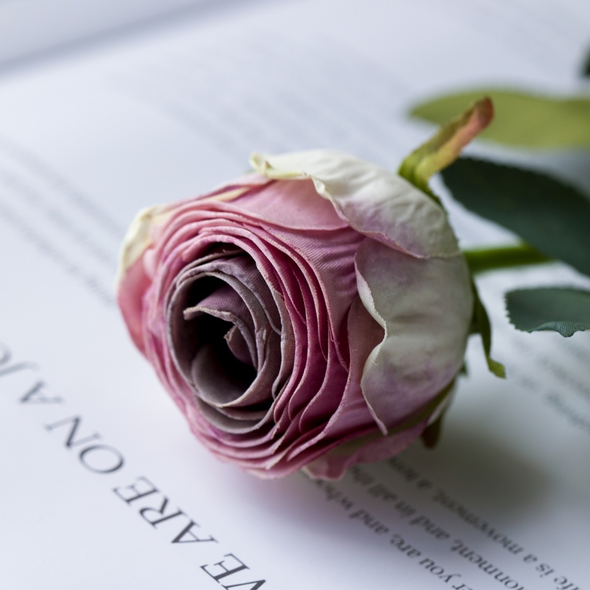 Umetna roža, posušena roža, žgani rob, šopek vrtnic, dnevna soba, dekoracija spalnice, plastična roža, svilena roža, lahka luksuzna dekoracija_voghion.com