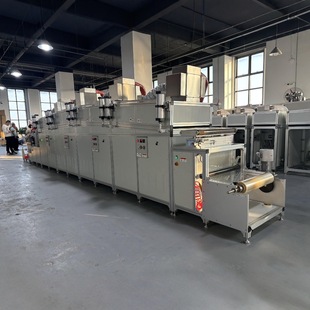 New Fully Automatic Slit Cast Coating, Customized Width and Customized Curved Drying Duct Exported to Switzerland
