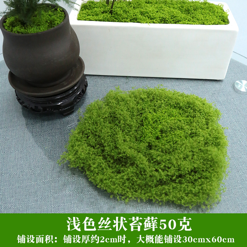 Simulación de césped de seda de musgo, paisaje de musgo biónico, plantas verdes, bonsai, pavimento de paisajismo, decoración de musgo falso, césped falso