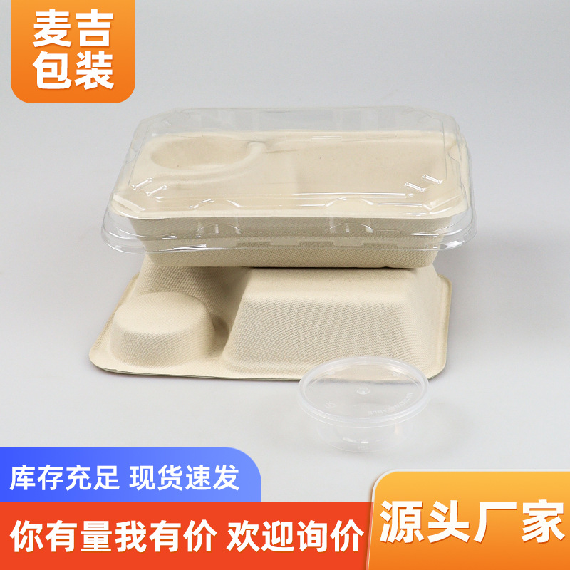 Caja de comidas de pulpa desechable degradable caja de ensalada caja de embalaje de comida ligera caja de comidas rectangular caja de comida para llevar caja de almuerzo ecológica