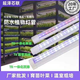 植物生长灯