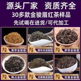 黄芽金骏眉红茶批发  武夷山桐木关野茶特级金俊眉茶叶样品试喝装