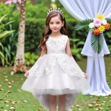 Наряд маленькой принцессы, кружевное платье, Amazon, детская одежда, оптовые продажи, юбка-пачка