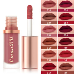 Foreign trade 12-color lipstick velvet lip gloss single lip glaze matte matte surface not easy to stain and fade European and American cross-border makeup