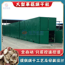 大型草菇烘干机 连续式兰花菇苞脚菇切片烘干设备 秆菇麻菇干燥机