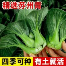 ~KNӰ_๣˷NӴﶬɷNֲϺrԷN