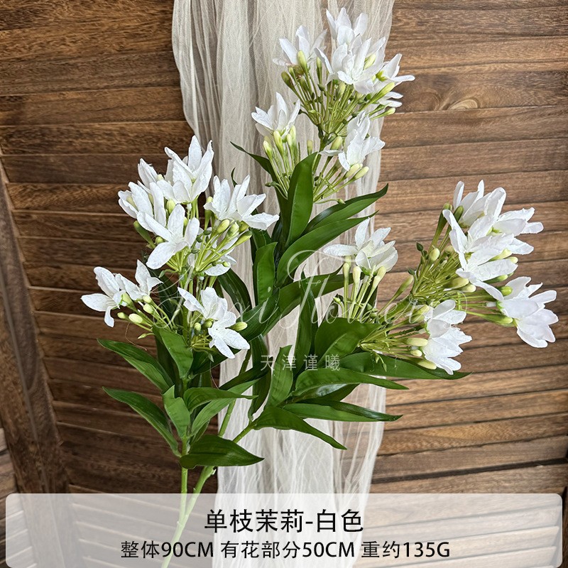 싱글 자스민