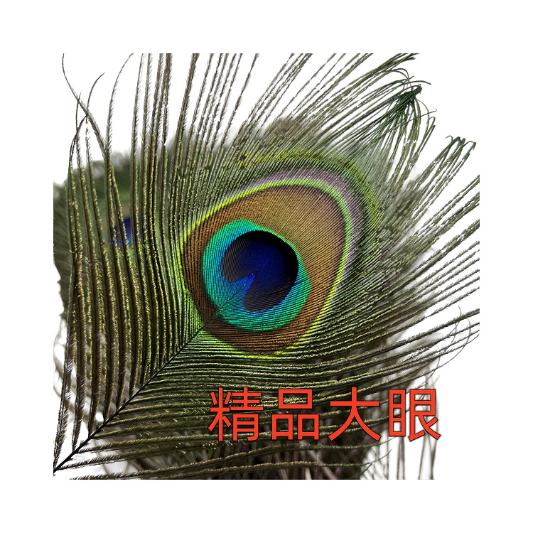 25-30厘米孔雀羽毛精挑大眼睛 客厅摆件花瓶插花装饰品配件孔雀毛