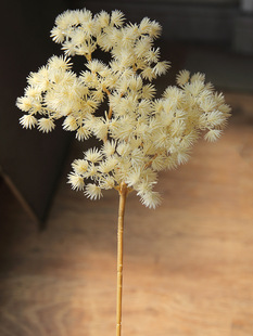 ����ɴ���������R���װ׻�c�����ʽ�쾰֦�~ӭ�����°��~