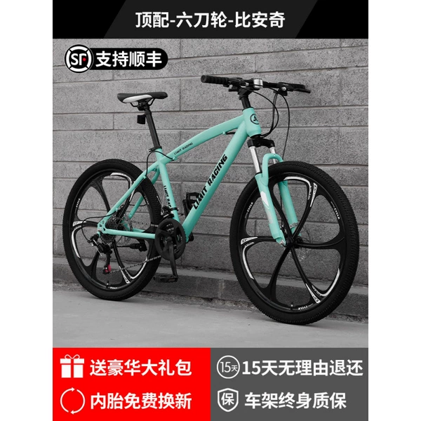 【Top Edition】 Six Sword-Bianqi