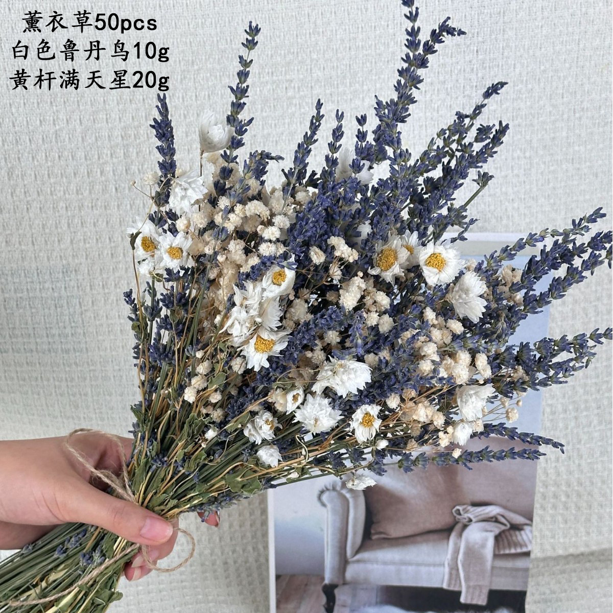 HS008