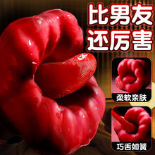 iȫԄ˱^ŮoοȤ˽̎{Ʒ