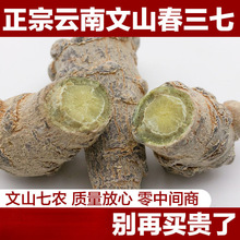 三七头云南文山滑头春三七20头30头40头无剪口田七可代磨粉批