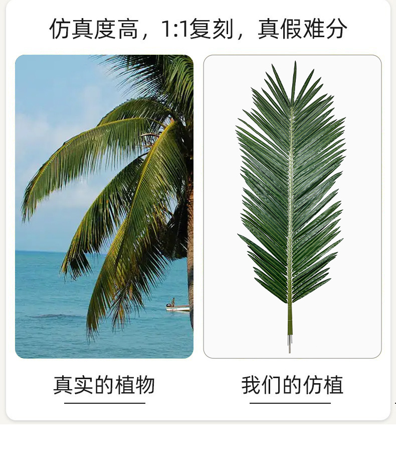 详情 (10).jpg