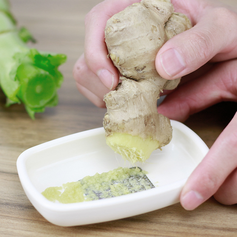 Japanese Imported Medicinal Material Grinder Ginger Grinder Ginger Grinder Supplementary Food Grinder Ginger Pounding Ginger Grinder Ginger Garlic Grinder