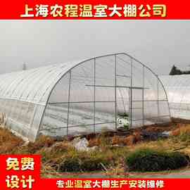 联合八型单体装配式钢管大棚 单体蔬菜大棚骨架 钢架大棚配件