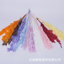桔叶 永生桔叶 云南干花永生花  DIY礼盒玻璃罩材料装饰拍摄批发