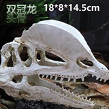 Sansui, реалистичный динозавр, череп, альпинарий, водные растения, аквариум