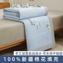 夏被空调被单双人夏凉被可水洗机洗夏天棉花被芯棉被薄被一件批发