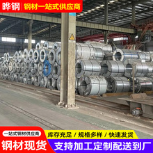 ���DX51D+Z80�����\䓰� �h���g����ָ�y��\��o���o����\�