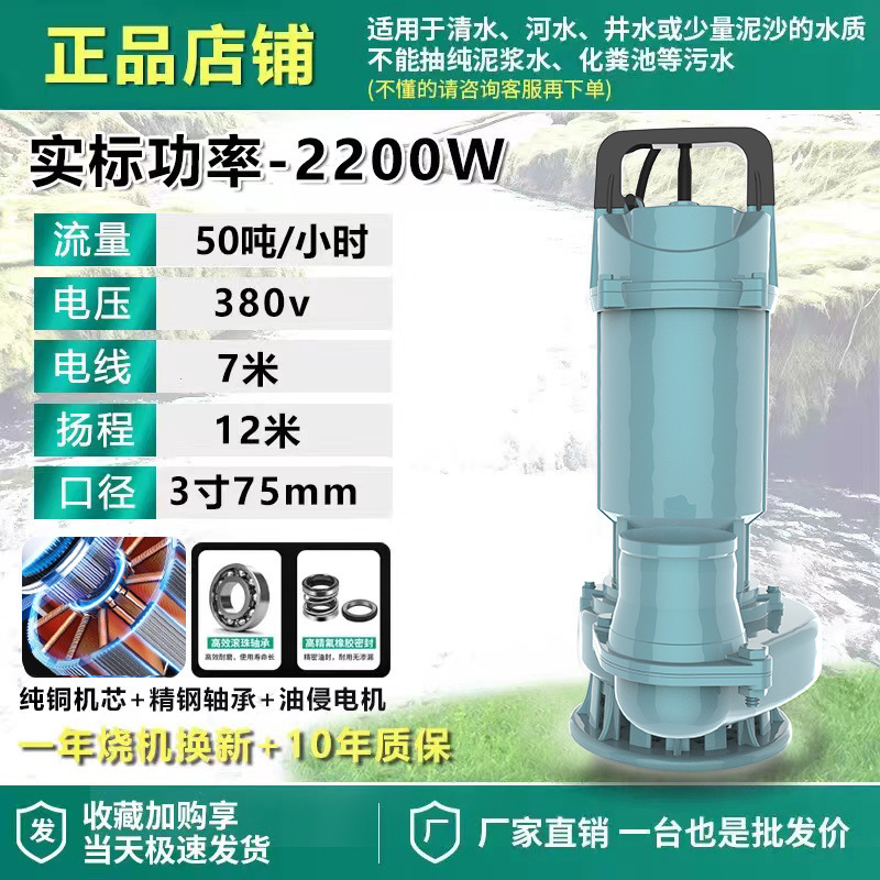 Shanghai auténtica bomba sumergible 220V bomba de agua de gran calibre 3 pulgadas 4 pulgadas sin escobillas de alto flujo de elevación bomba de agua
