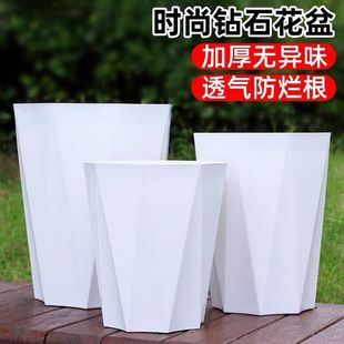 ��֬�������ϸ��FҬ�Ӵ�̖�Ӻ��п׻��������B�G�}