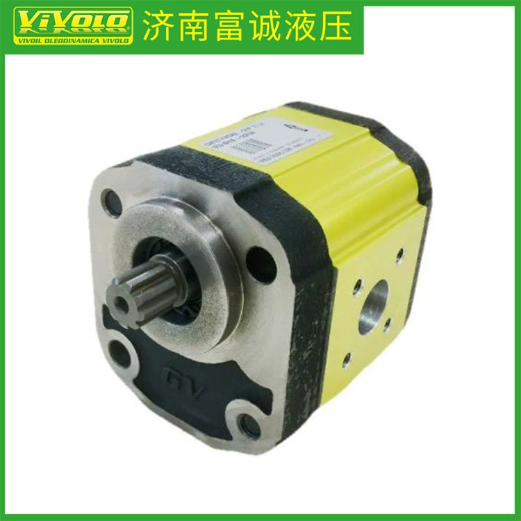 Итальянский чугунный Шестеренчатый насос VIVOLO GV2P-D/C G2P4911FSRA Гидравлический масляный насос Поставка VIVOIL