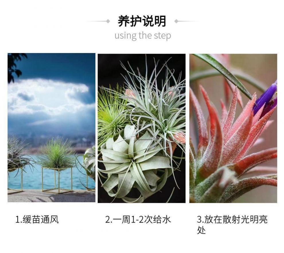 ddb60b07-7d6f-4103-ae97-461c6e1e9246.jpe