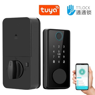 Cross border lock graffiti smart door lock indoor wooden door swipe fingerprint password lock auxiliary locking CE FCC certification