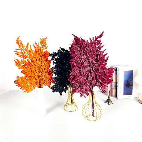 Yunnan Eternal Flower Sheep Fern Leaf Dried Flower High Mountain Sheep Fern Leaf Soft Furnishing Decoration Bouquet Fern Leaf Matching Material