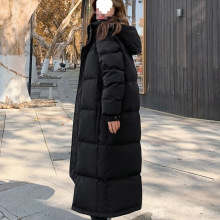 2025¿qŮL^ϥӺaɰqڂH