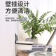 A generation of hair hanging cat bowl rack pet fixed cat wall protection cervical anti-knock cat bowl