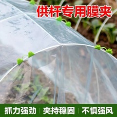 グリーンフィルムクリップ、園芸および農業用植物フィルムプラスチッククリップ、防風温室固定バックル、防風強化