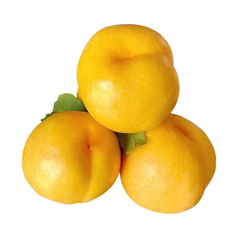 Liaoning Golden Mango Peach Seasonal Fresh Butter Peach for Pregnant Women Seasonal Fruit 2.5kg Oil Peaches Dropshipping