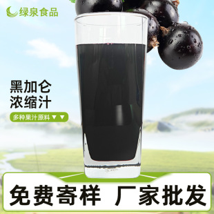 現貨供應深色果漿黑加侖濃縮汁64-67BX飲料酸奶奶昔烘焙原料批發