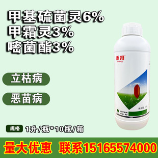 ����ķ ��ķ ˮ��������N���N�� ���ݲ� ���粡������