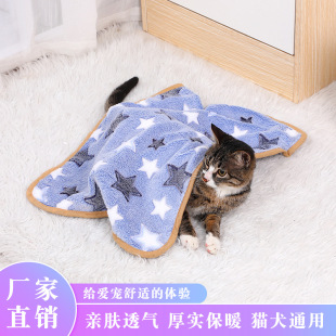 Cross-Border Pet Blanket Floor Mat, Cute Cartoon Paw Print, Bite-Resistant Cat Nest, Universal Plush Coral Velvet Dog Mat for All Seasons
