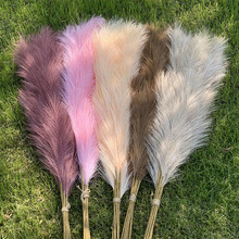 ins�W�t���滨�JȔ�ݼٻ��b͏d��ؔ[���ɻ������[�O�JȔ��