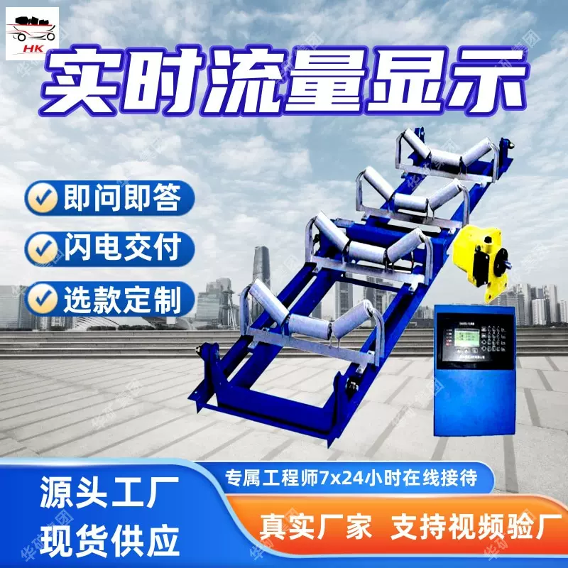 动态监测电子皮带秤 连续输送电子皮带秤 ICS-14型电子皮带秤