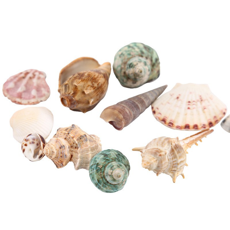 Bricolaje accesorios hechos a mano joyería de estilo antiguo fondo marino conjunto mixto concha natural campanilla de viento concha tridimensional flor al por mayor