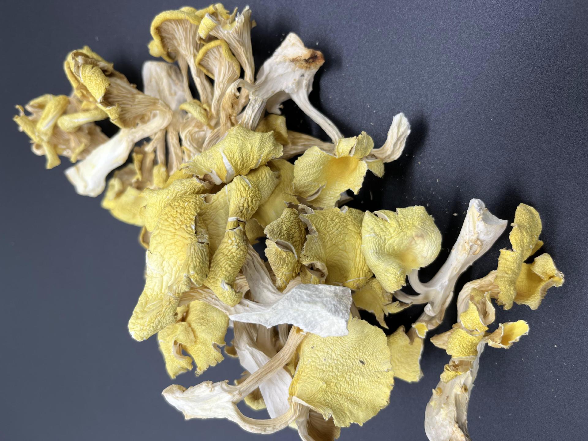 2022_11_09_10_29_IMG_9013