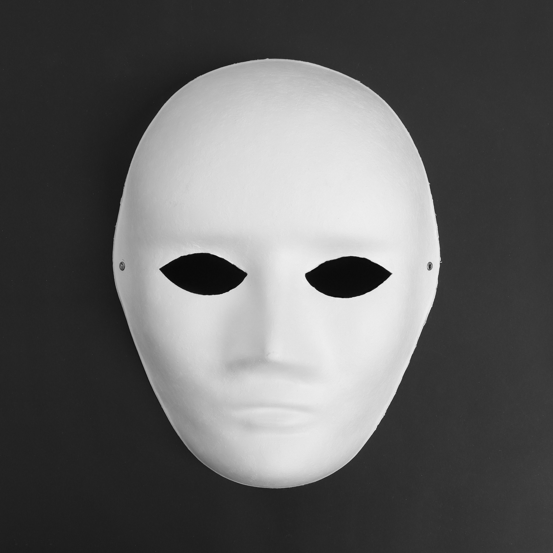 Máscaras DIY en blanco pintadas a mano juguetes hechos a mano máscaras de animales para hombres y mujeres en stock