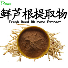 现货包邮鲜芦根粉水溶鲜芦根提取物10:1比例提取可寄样鲜芦根细粉