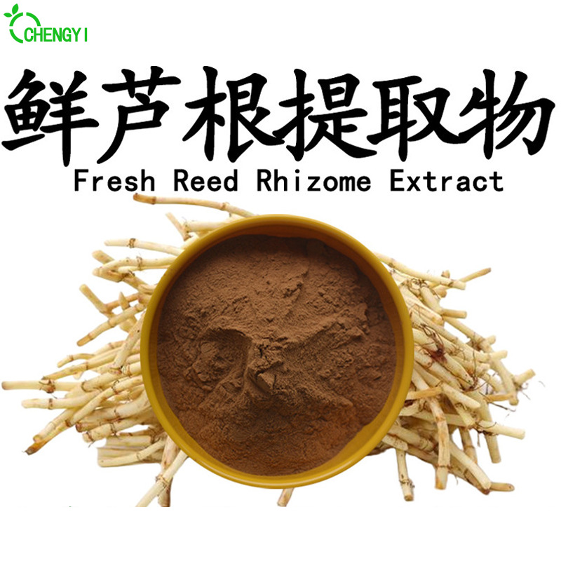 现货包邮鲜芦根粉水溶鲜芦根提取物10:1比例提取可寄样鲜芦根细粉